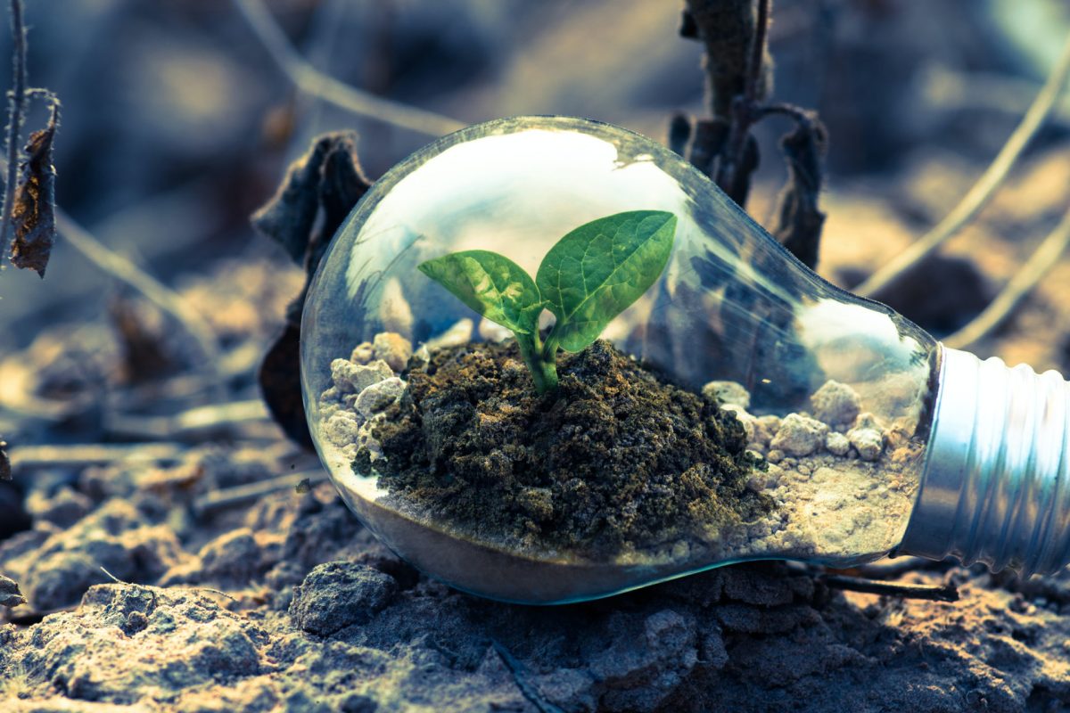 Carbon Reduction Plan
